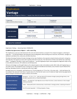 OrgAnalysis sample report preview